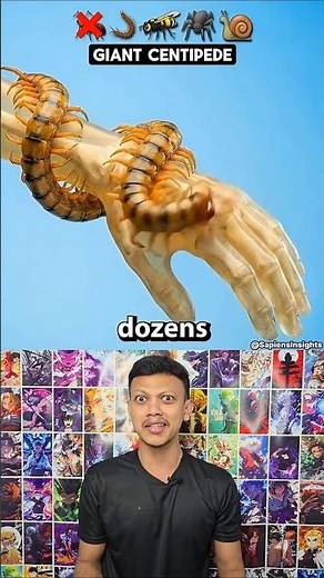 Which Insect Can Kill You With One Bite? 😱