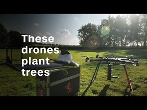 Counting birds on Dyer Island and other ways drones are used to help wildlife