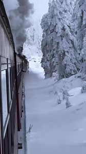 Am Mittwoch mit dem Polarexpress auf den Brocken 🤗Harzer Schmalspurbahnen GmbH - HSB | Rico Hertel