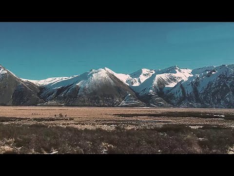 Plastic Plastic - The Trip