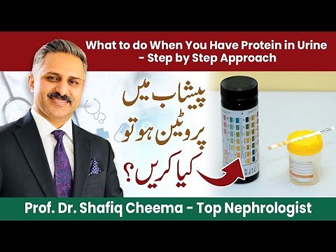 Protein in Urine or Proteinuria- A Step by Step Approach | What to do when you have foamy Urine