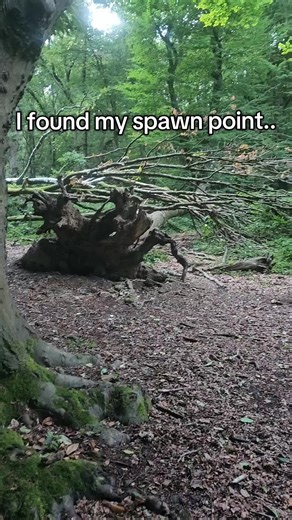 I found my spawn point #minecraftcompass #compass #mc #nostalgia #Minecraft