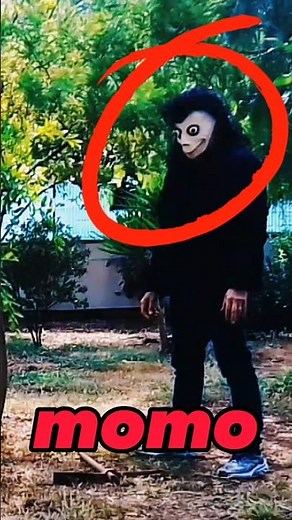 momomo Momo t.w.m scary videos /video assustador