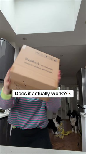 Testing the Steam Cleaner: Does It Really Work?