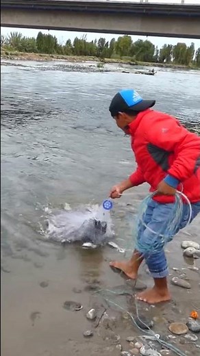 Great fishing with cast nets in the river - cast net fishing