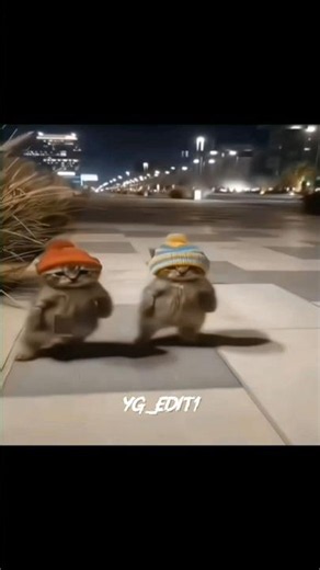 HACHIMI MAMBO CAT EDIT #fedit#mhacommunity #fyp #fypジviral #viral