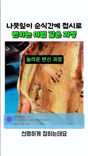 나뭇잎이 순식간에 접시로 변하는 마법 같은 과정