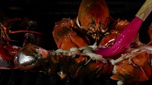 Lobster over a grill - Free Stock Video