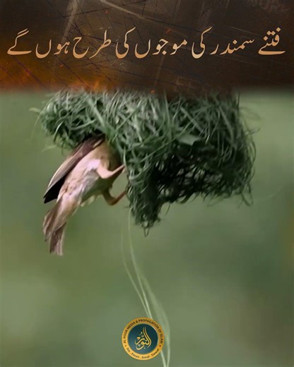 Fitny samander ki mojon ki tarhan uthen gy | Ustazah Nighat Hashmi