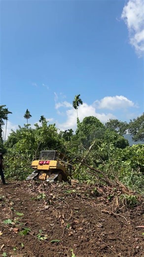 Mountain Land Clearing by the Tough D6R XL Machine