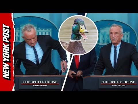 RFK Jr.’s ‘Quacking' Ringtone Goes off During White House Briefing