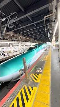 新幹線 大宮駅 14時00発 やまびこ 54号 東京駅行き 8号車 乗車