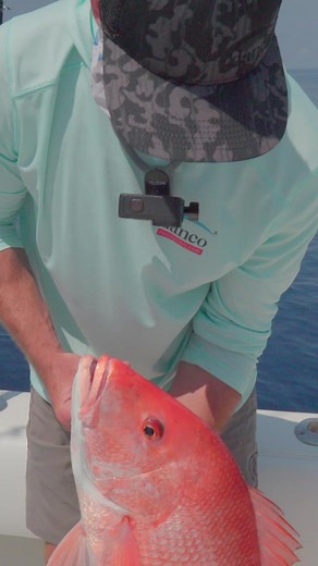 27K views · 196 reactions | Ryan Morie Outdoors demonstrating how to vent a Red Snapper before releasing back to the depths on our recent Salt Water Sportsman Adventure with Return 'Em Right! #swsportsman #swsadventures #thetravelingangler | Salt Water Sportsman | Facebook