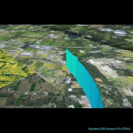 walking (20241114) Japan