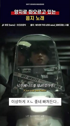 양지로 떠오르고 있는 음지 노래🔥[하모 (hamo) - 아크라포빅]