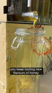 Abundant honey harvest