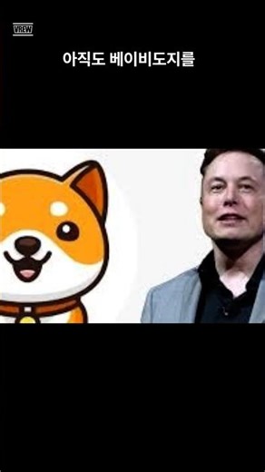 Baby Doge Coin Outlook