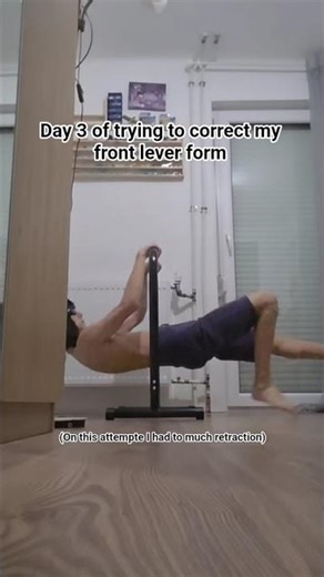 Day 3 of trying to get a clean front lever #calisthenics #bodyweightworkout #frontlever