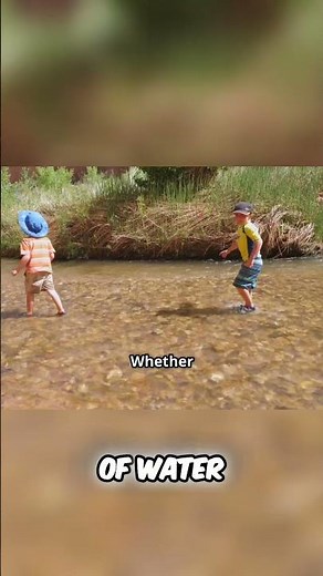 Streams vs. Creeks: Nature's Wonderful Waterways #shorts