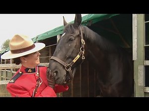 RCMP Musical Ride to perform for the Queen