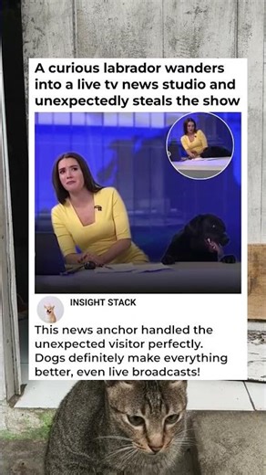 The Best News Blooper Ever!