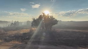 1.3K views · 23 reactions | The Sharps Canyon fire outside of Cahone is still smoldering. | Wildlife throughhopeseyes. | Facebook