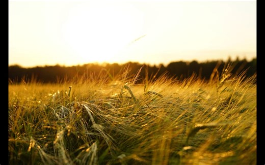 level C-404详解之C-194