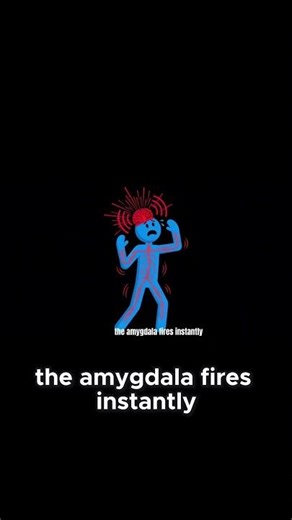 This Is Why You Lose Control (Amygdala Hijack Explained)