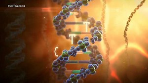 Descifrar nuestro código genético