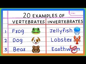 20 Examples of Vertebrates and Invertebrates | Examples of Vertebrate and Invertebrate Animals