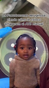 163K views · 2.6K reactions | ✅ Pseudomonas aeruginosa es intrínsecamente resistente a ertapenem debido a: Baja permeabilidad de su membrana externa, que dificulta la entrada del ertapenem. Presencia de bombas de eflujo constitutivas, que expulsan el antibiótico al exterior. | Mundomicro Ornela Medrano | Facebook