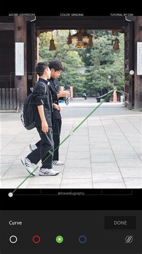 Do I really need to learn tone curve? Me: #lightroommobile #lightroomtutorial #lightroomediting