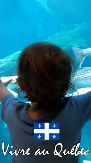 Vivre au Quebec: 20 ans dans la province francophone du Canada