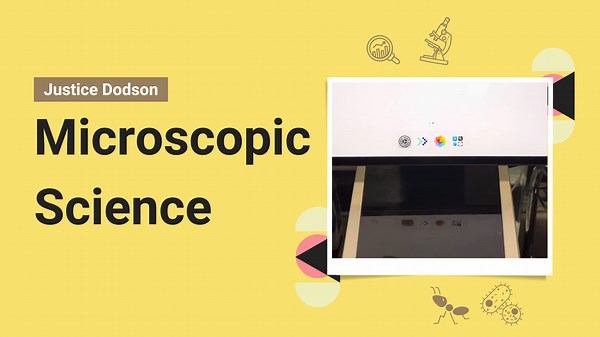 Watch Ibuprofen Crystals Grow — Incredible Science in Action!