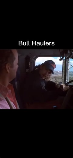 Road Trip Tips for Livestock Transportation