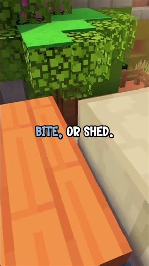 My Landlord Said No Pets — So I Bought 12 Pet Plants