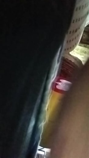 bacon pro official on TikTok