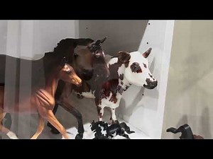 Breyer Horse Collection Tour 2025 (after Breyerfest)