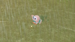 Pokémon Indigo Disk Rowlet location - how to catch and evolve Rowlet - VideoGamer