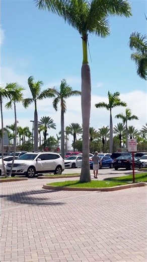 【4K】Walking in Hollywood, Florida 🇺🇸 | USA in 4K #shorts