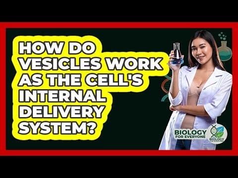 How Do Vesicles Work As The Cell's Internal Delivery System? - Biology For Everyone
