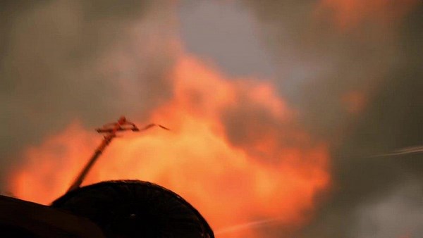 NocturnalOwlie - Twitch