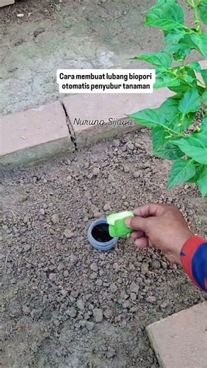 cara membuat lubang biopori otomatis penyubur tanaman #berkebun #edukasi