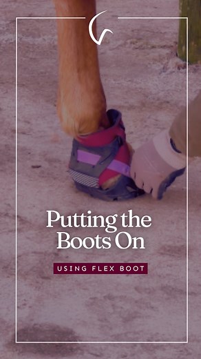 2.7M views · 24K reactions | ✨ Expectation vs Reality  This is Into...