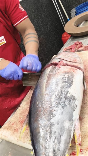 World Biggest Tuna fish cutting #seafoodlovers #viralvideo #fishcuttingskills #youtubeshorts