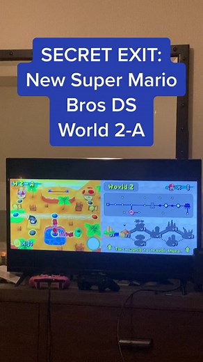 Secret Exit in New Super Mario Bros DS: World 2-A