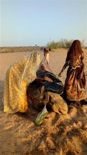 !الجمل يرى الفتيات ويبدأ بالمشاغبة، فيسقط وعاء الماء#funny #camel #desert