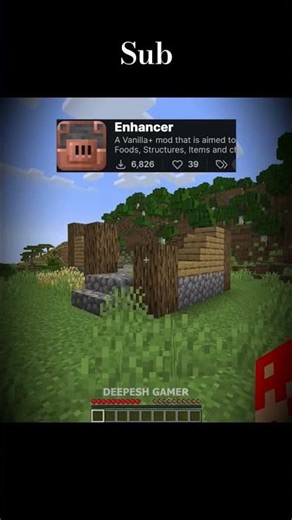 Minecraft mod