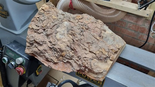 How a Risky Burl Became a Stunning Woodturning Project