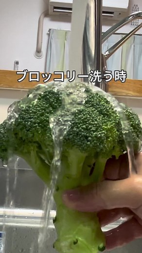 ブロッコリーの正しい洗い方と茹で方